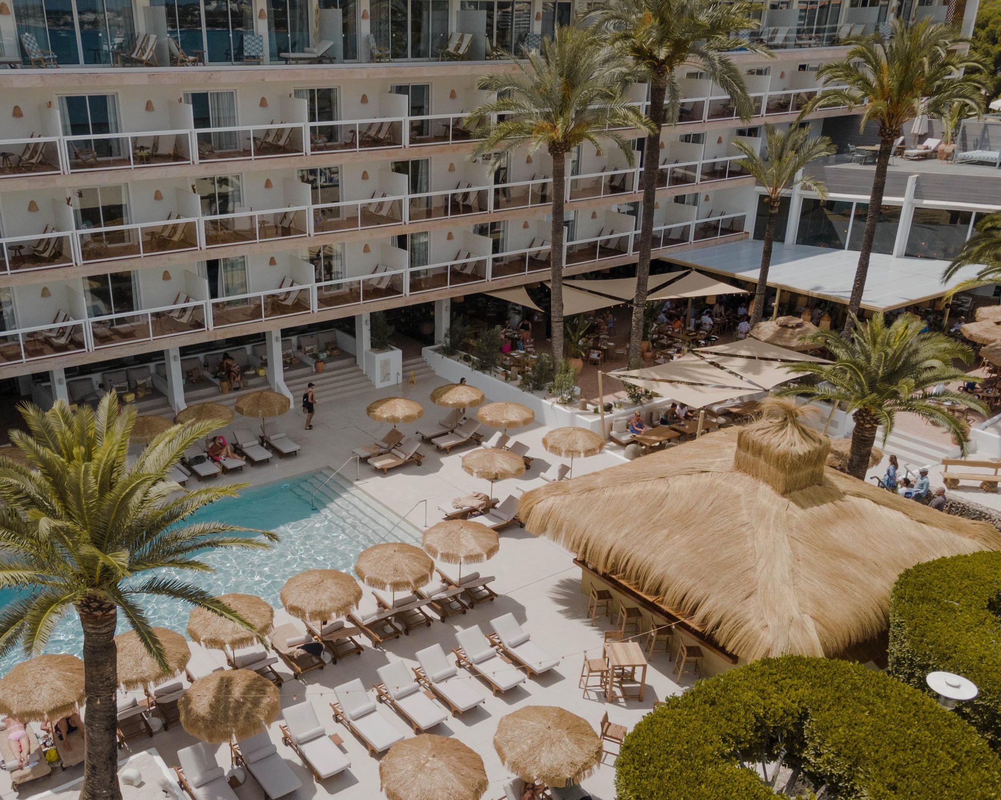 Beso Beach Palmanova (Mallorca): barefoot-luxury aan het strand 2 Het zwembad van Beso Beach Mallorca met ligbedden, rieten parasols en palmen bij Hotel Zel