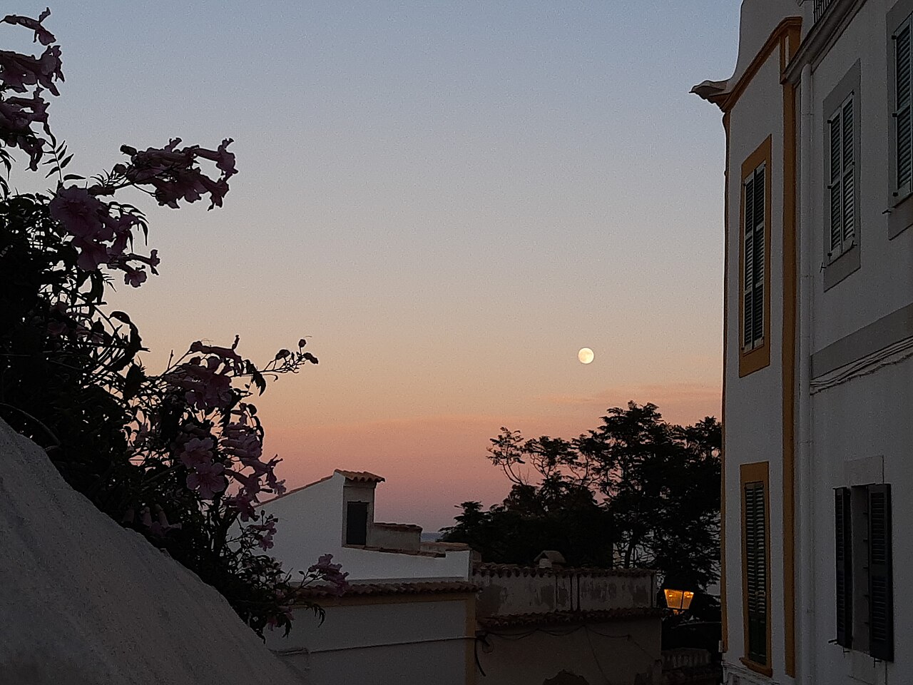 Beste reistijd Ibiza: weer, water en clubseizoen per maand 6 Ibiza door het jaar heen, foto 5