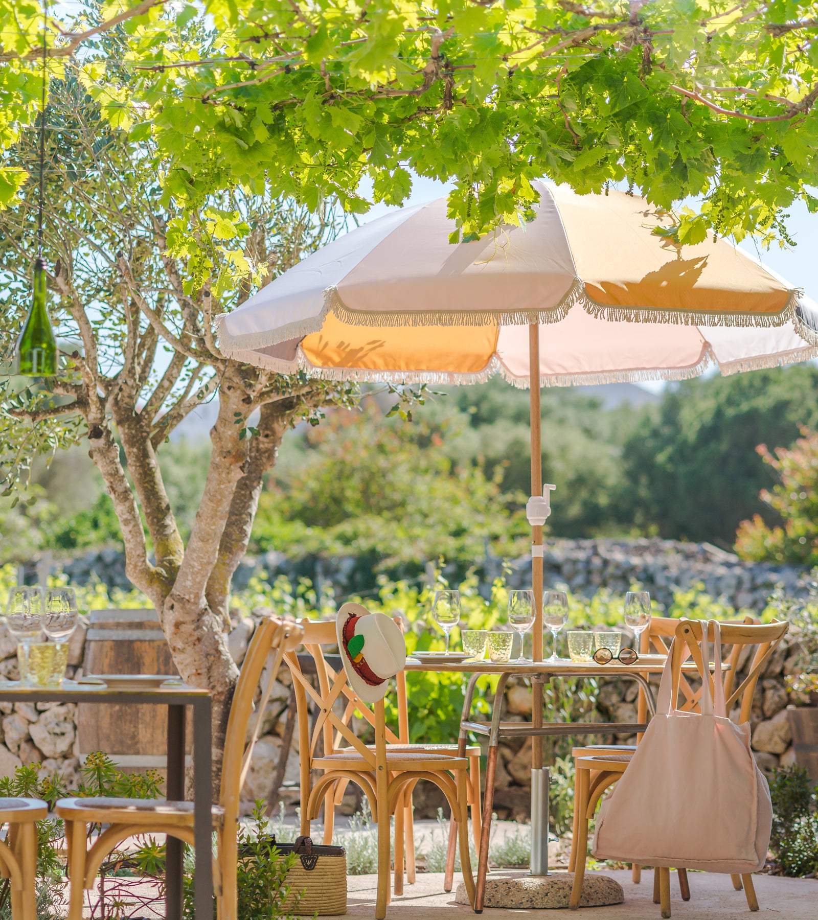 Bodegas Binifadet Menorca: lunch en wijnproeven tussen de wijnstokken 2 Gedekte tafel onder een pergola van druivenranken op het terras van Bodegas Binifadet met de wijngaard erachter