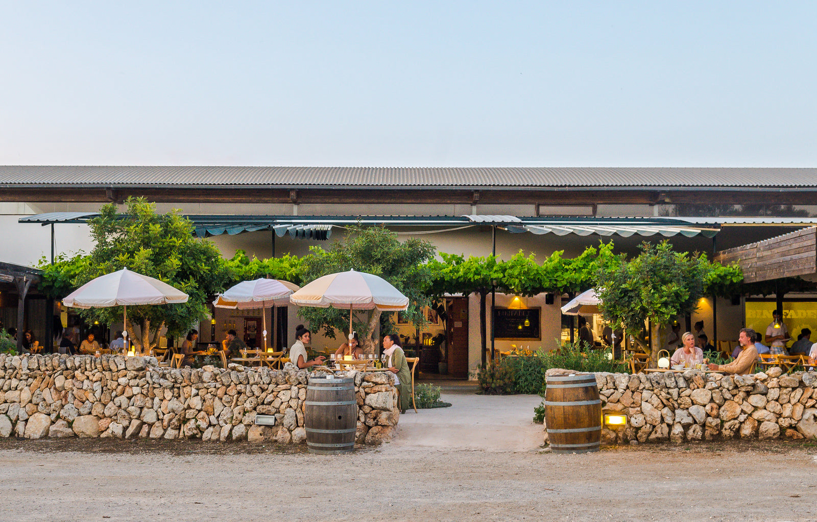 Bodegas Binifadet Menorca: lunch en wijnproeven tussen de wijnstokken 1 Het terras van Bodegas Binifadet tussen de wijnstokken bij Sant Lluís in de avond