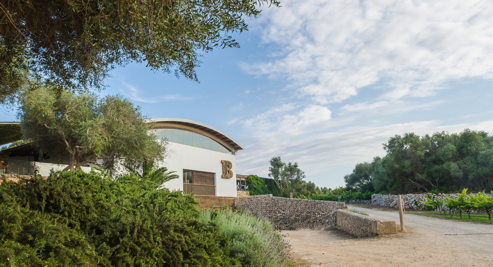 Bodegas Binifadet Menorca: lunch en wijnproeven tussen de wijnstokken 7 De wijnmakerij van Bodegas Binifadet van marés-steen tussen de wijngaarden