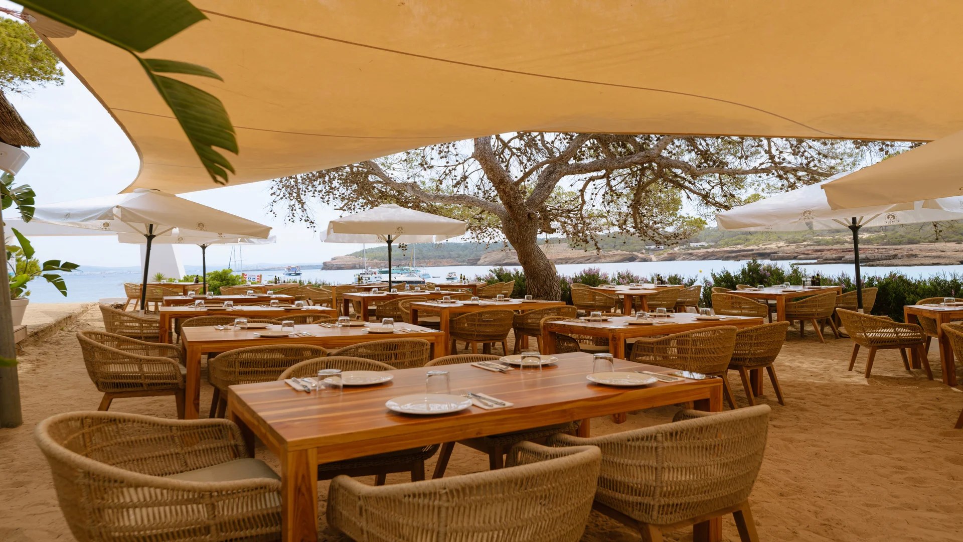 Cala Bassa Beach Club (CBbC) Ibiza, foto 2