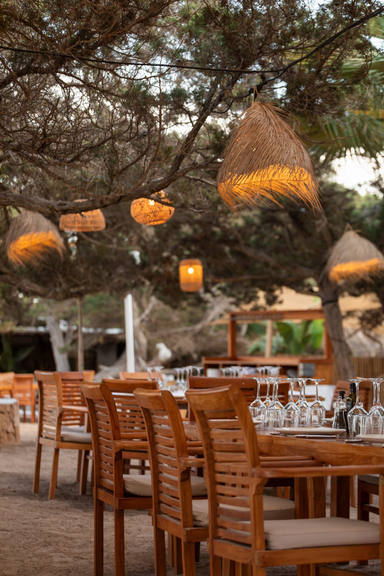 Cala Bassa Beach Club (CBbC) Ibiza, foto 5