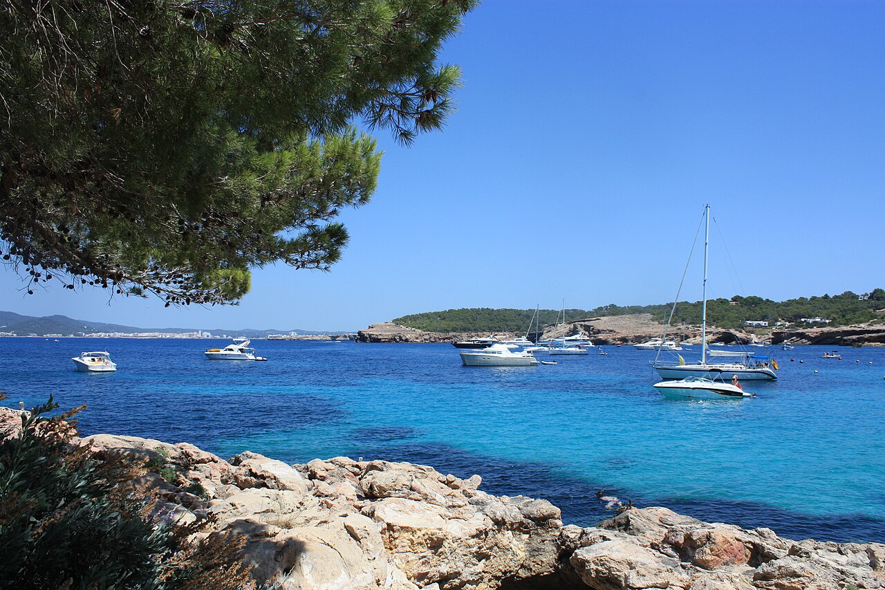 Cala Bassa Ibiza: het strand, bus P5 en de boot uit Sant Antoni 6 Uitzicht vanaf de rotsen van Cala Bassa op Ibiza over de ankerplaats, met zeilboten, de beboste kaap en het lichte ondiepe water