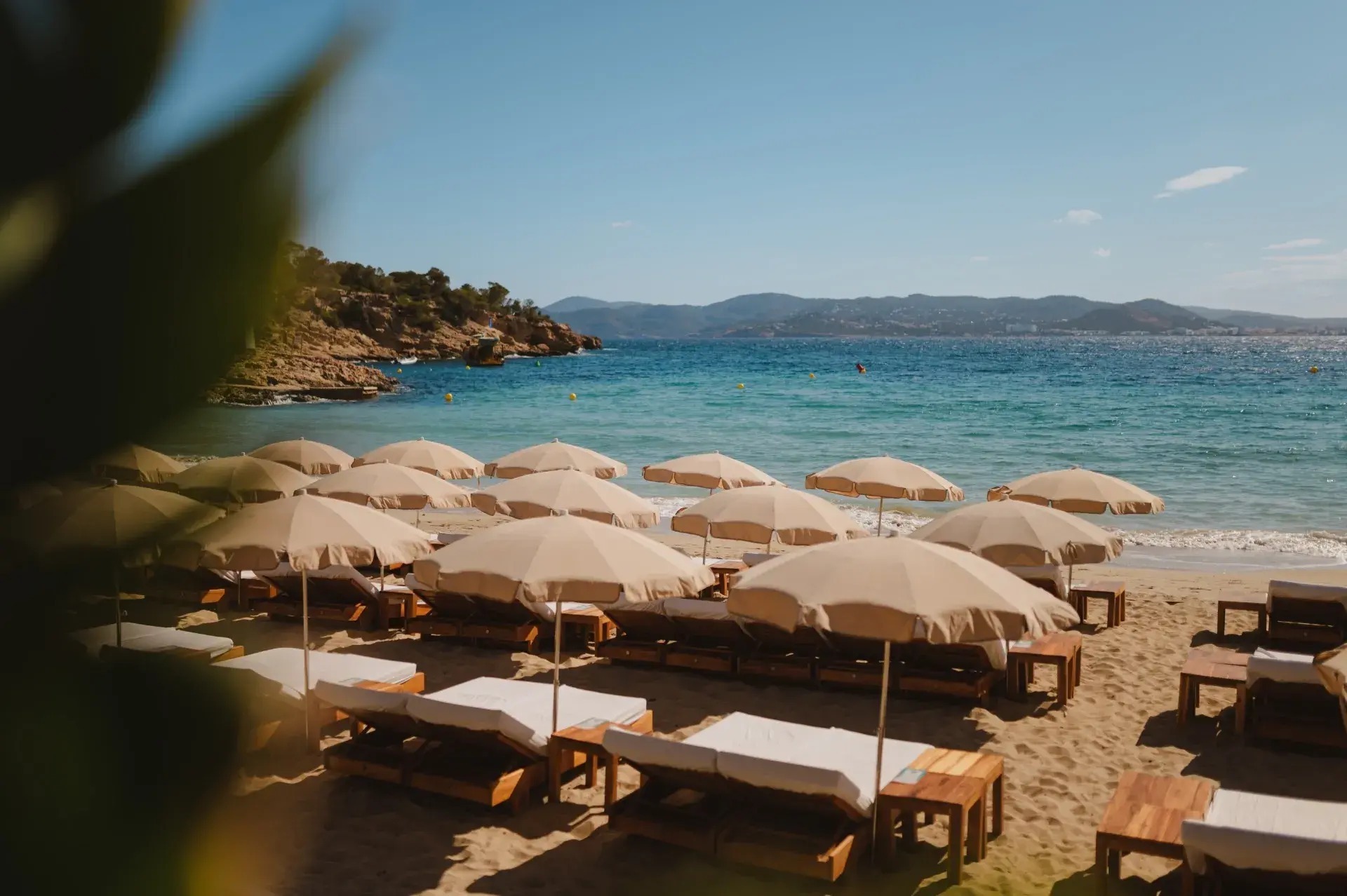 Cala Bassa Ibiza: het strand, bus P5 en de boot uit Sant Antoni 4 Uitzicht over de parasols van Cala Bassa naar de zee, met een dennentak op de voorgrond en de kust van Ibiza aan de horizon