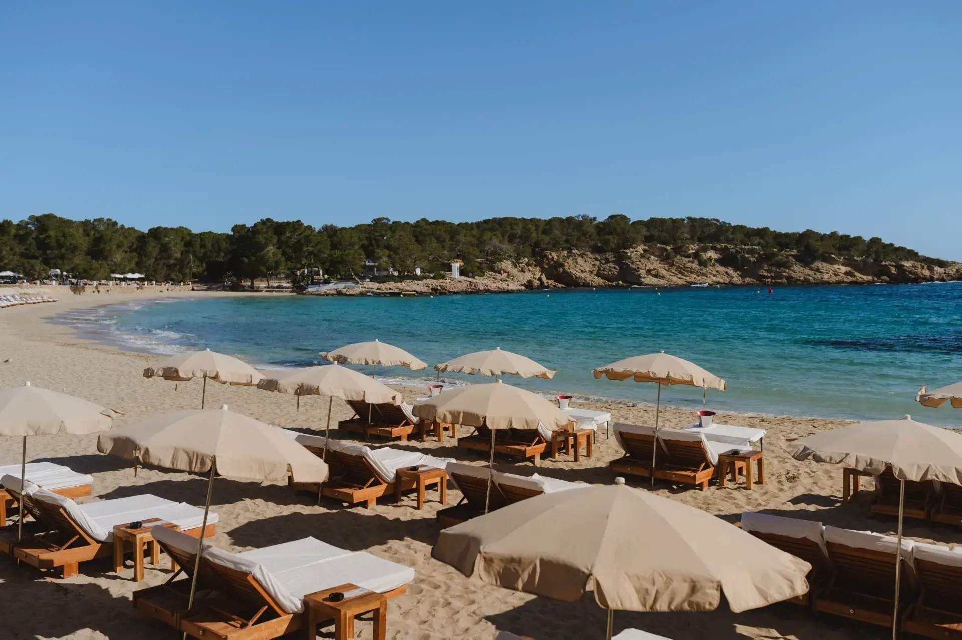 Coral Star: familiehotel in Sant Antoni 1 Cala Bassa op Ibiza met een brede zandboog, parasols en dennenbos erachter