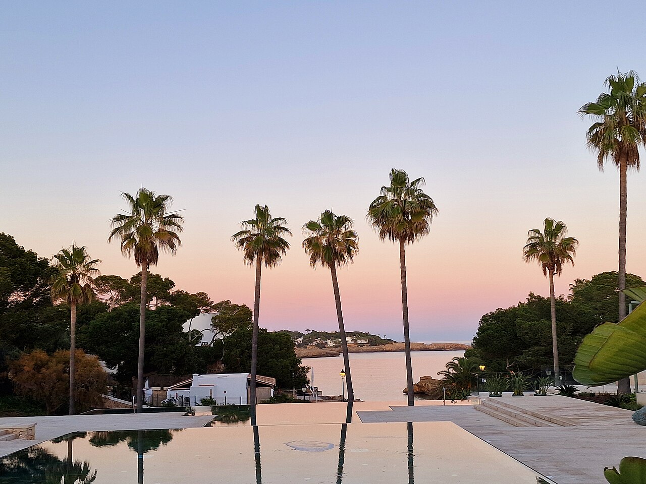 Palmen bij Caló des Pou in Cala d'Or in het avondlicht