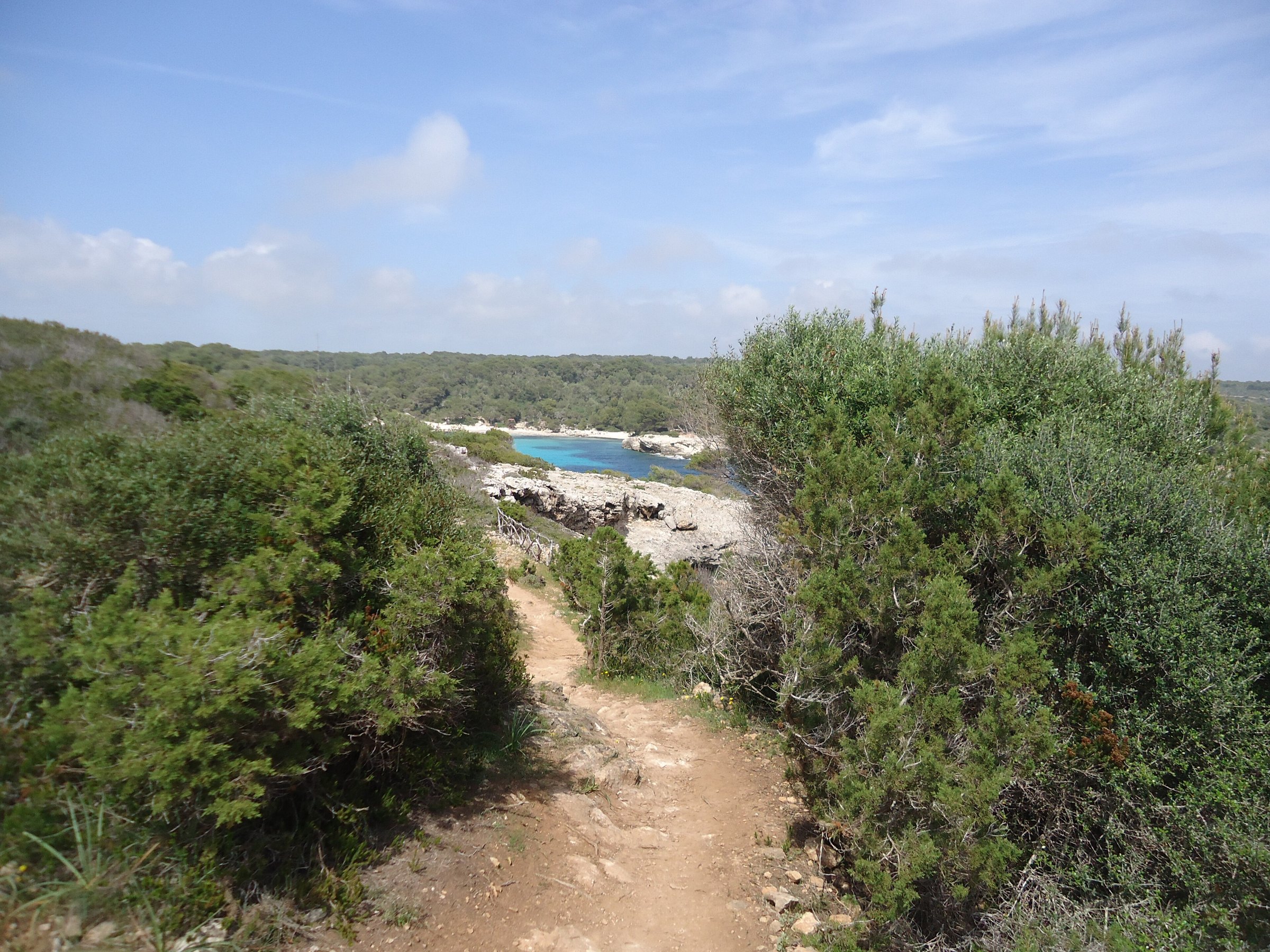 Het pad door het pijnbos van de parkeerplaats naar het strand van Cala en Turqueta op Menorca