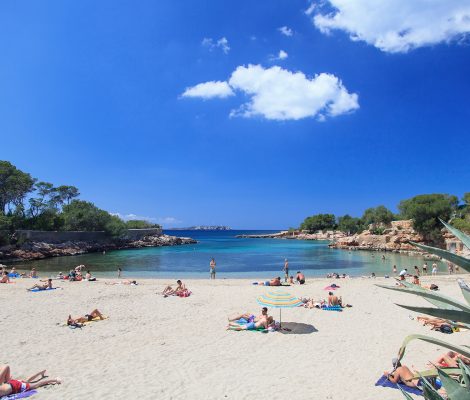 Het zandstrand van Cala Gració bij Sant Antoni op Ibiza met pijnbomen, ondiep turquoise water en badgasten