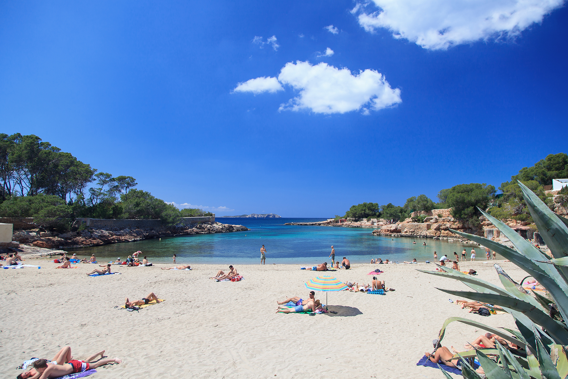 Het zandstrand van Cala Gració bij Sant Antoni op Ibiza met pijnbomen en ondiep turquoise water