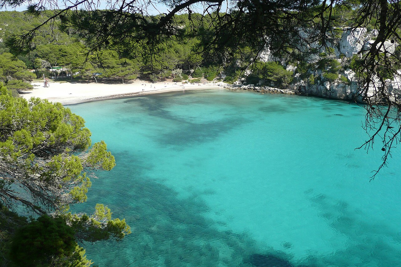 Cala Macarella op Menorca gezien door de dennenbomen