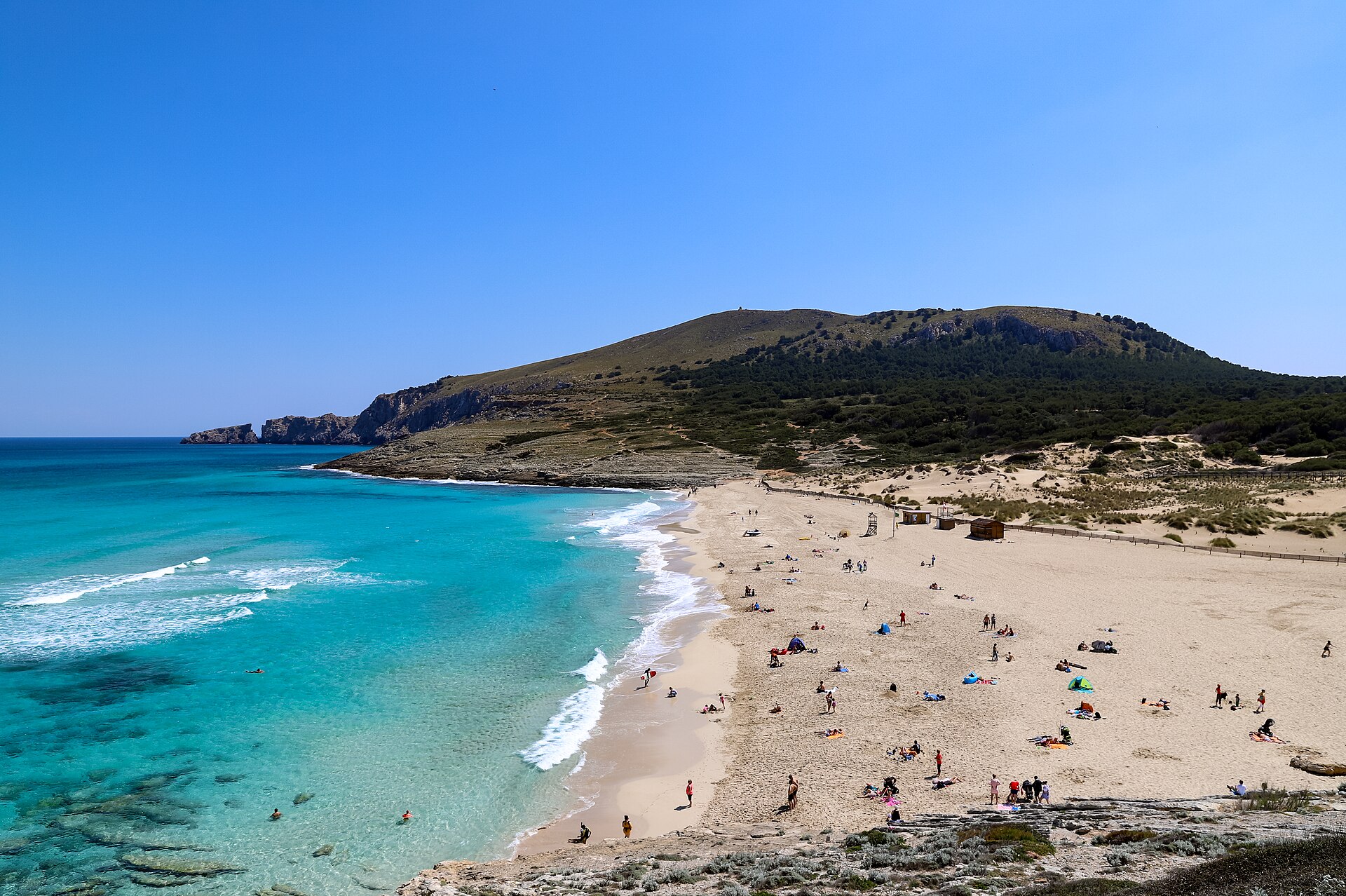 Het zandstrand van Cala Mesquida in het noordoosten van Mallorca met turquoise water en een beboste heuvel erachter