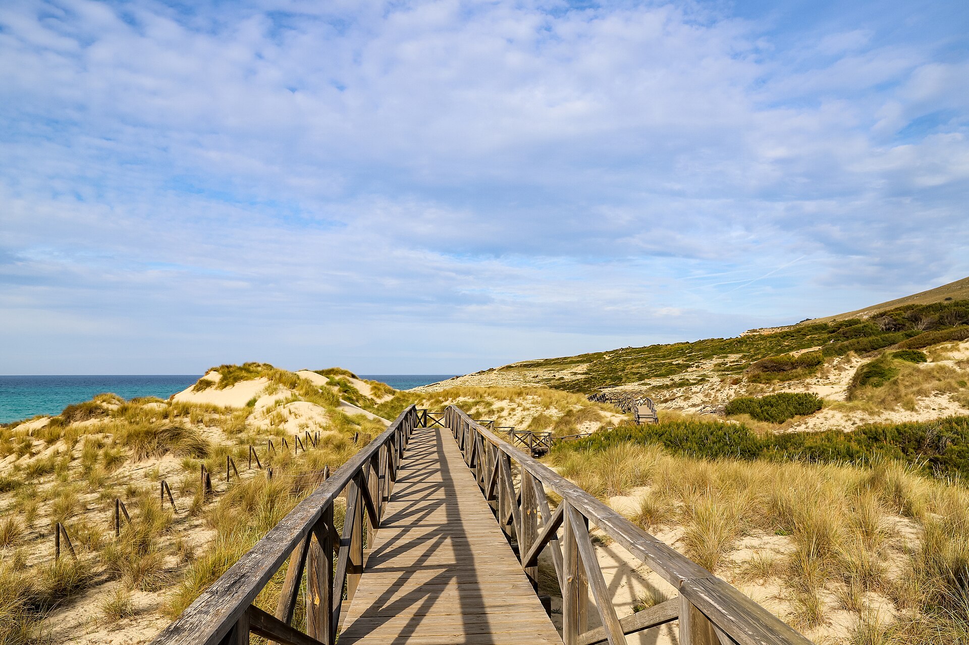 Het houten vlonderpad door de duinen met helmgras bij Cala Mesquida op Mallorca