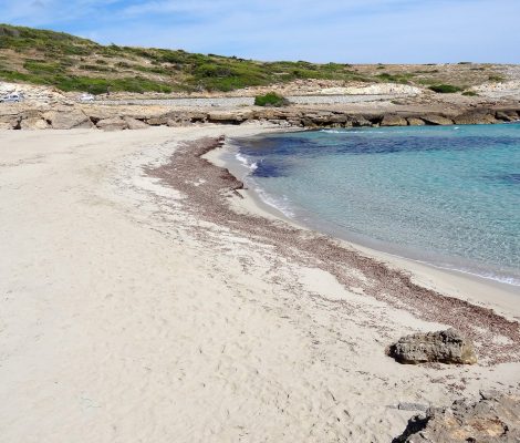 Zandstrand van Cala Mitjana bij Artà op Mallorca met turquoise water en een rand zeegras