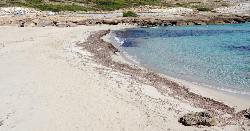 Zandstrand van Cala Mitjana bij Artà op Mallorca met turquoise water en een rand zeegras