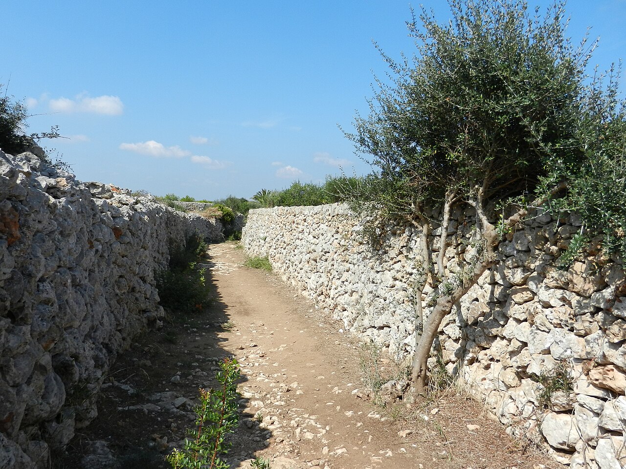 Pad tussen droogstapelmuren op de Camí de Cavalls, Menorca