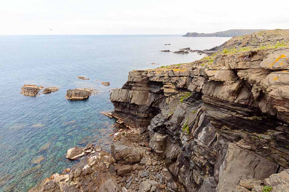Cap Roig Menorca: zeevruchten op de klif bij Sa Mesquida 3 Cap Roig Menorca, foto 2