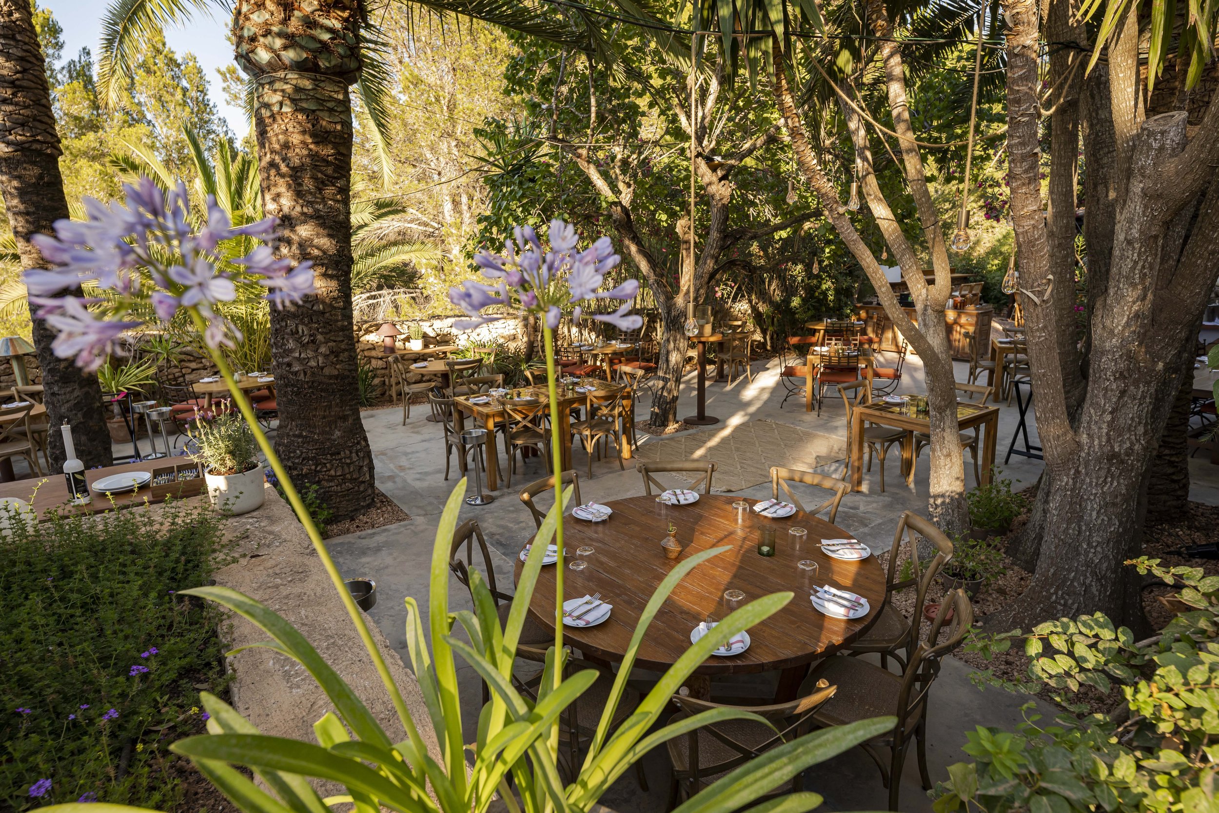 Het tuinterras van Casa Linda overdag, met houten tafels onder palmen en bloeiende agapanthus op de voorgrond