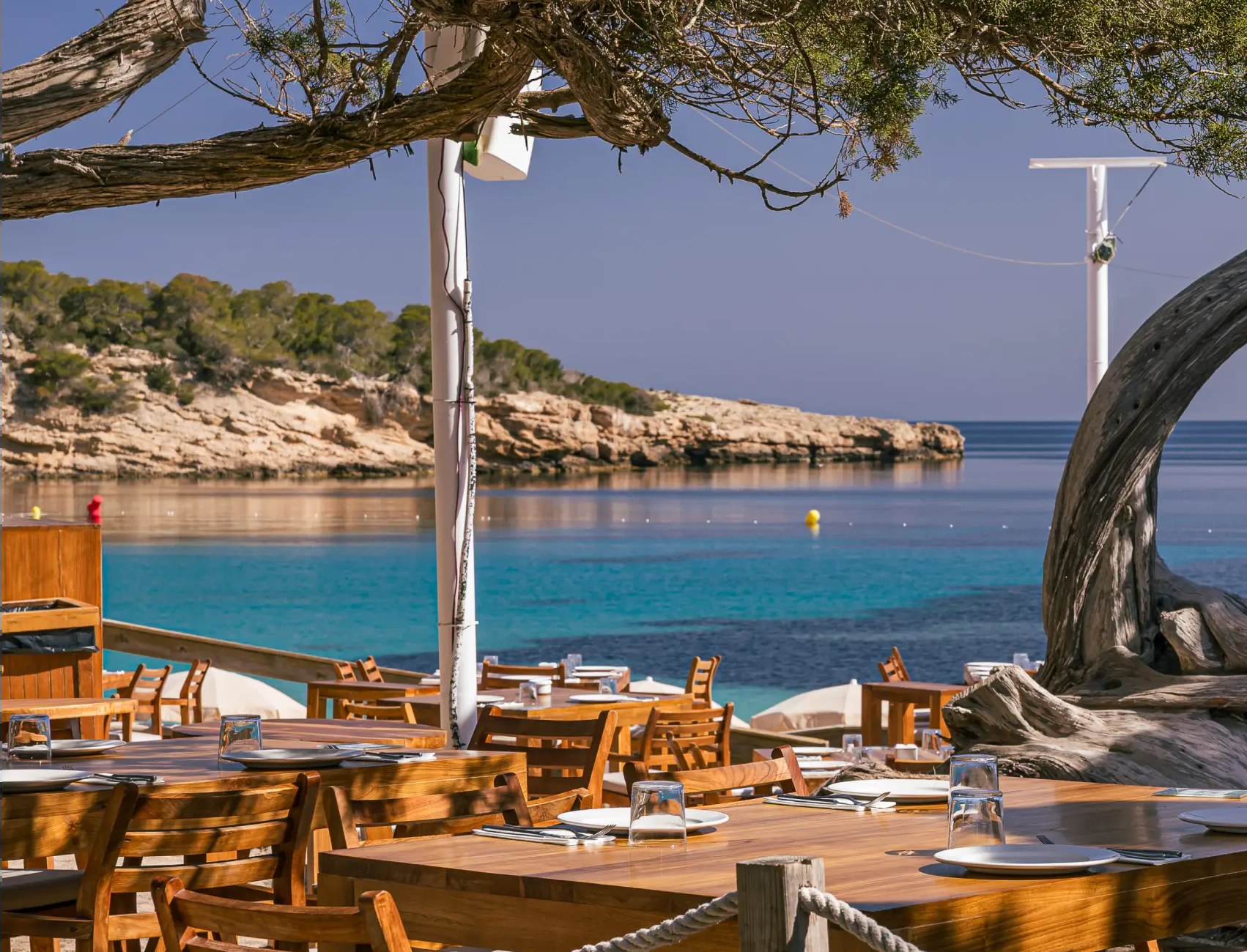 Cala Bassa Beach Club (CBbC) Ibiza: ligbedden, restaurants en prijzen 2026 3 Gedekte tafels van restaurant Chiringo onder een oude boom met uitzicht over de turquoise baai van Cala Bassa