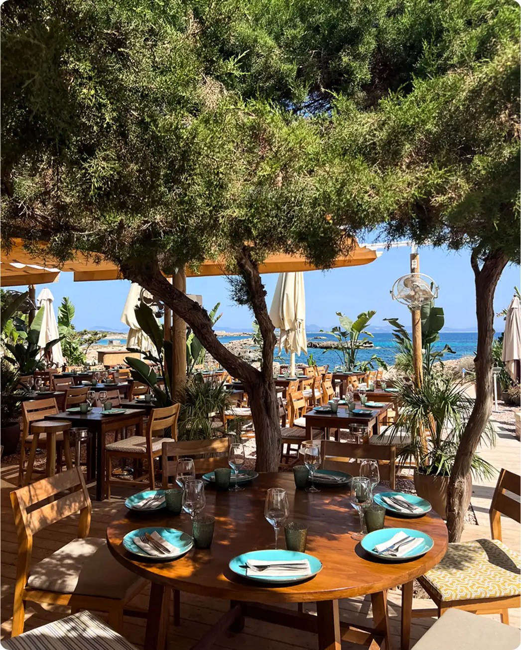 Chezz Gerdi Formentera: het iconische strandrestaurant van Es Pujols 5 Gedekte eettafels onder de bomen bij Chezz Gerdi met uitzicht op de zee