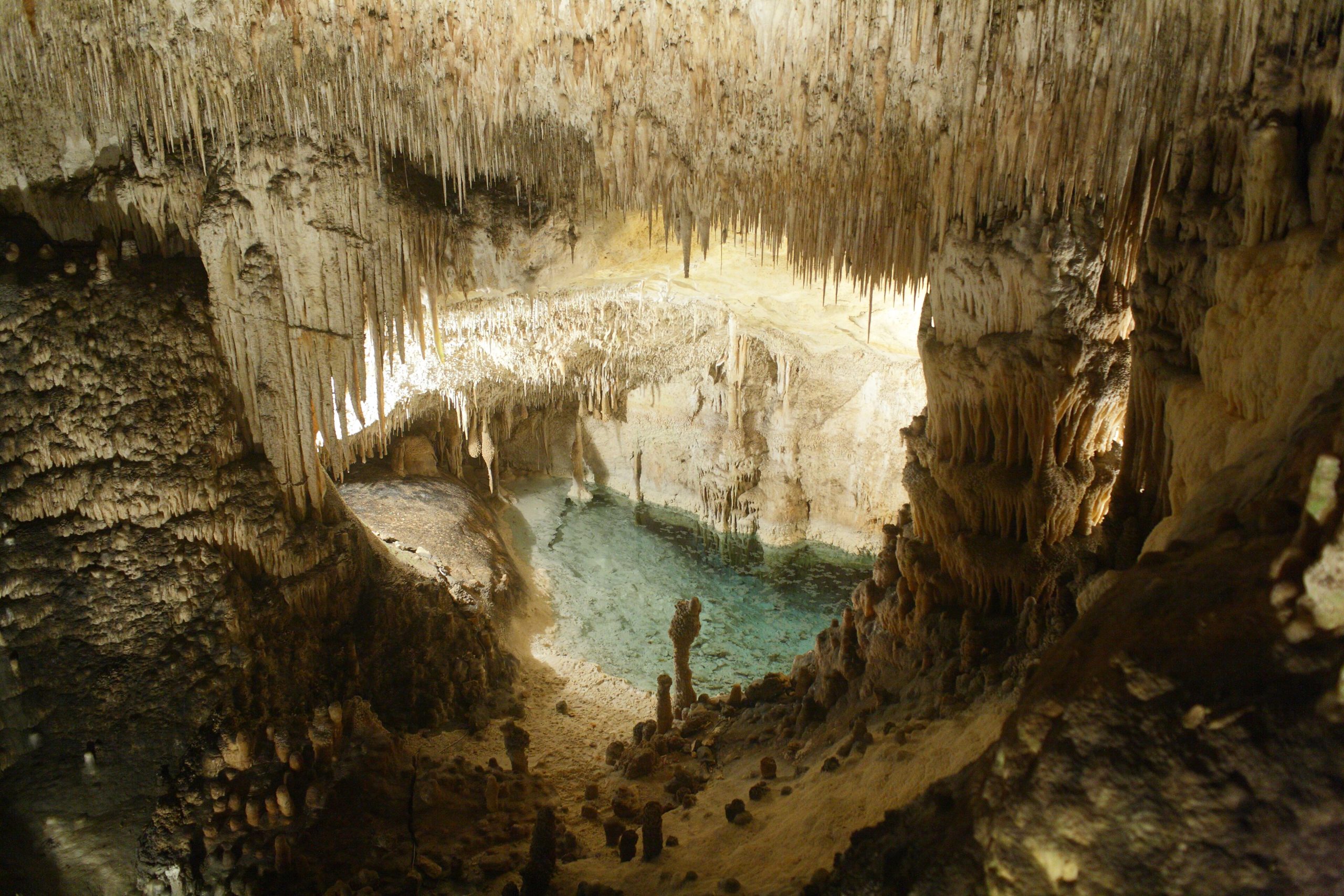 Een grote zaal in de Coves del Drac op Mallorca met duizenden stalactieten die weerspiegelen in een stil ondergronds waterbekken