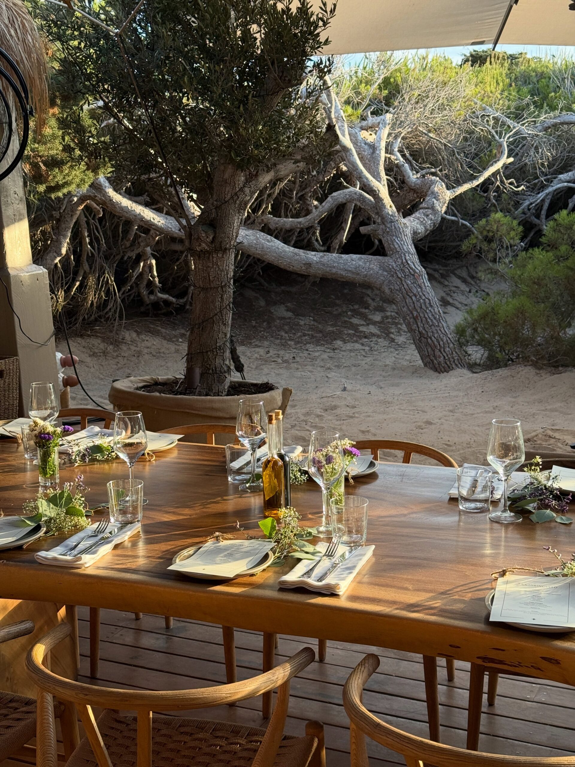 El Chiringuito Ibiza, foto 1