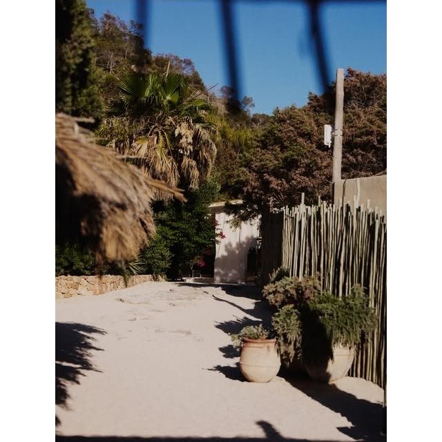 De tuin met cactussen bij El Silencio Ibiza