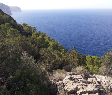 Beboste kliffen en diepblauwe zee langs de noordkust van Ibiza in het natuurgebied Es Amunts, ten westen van Port de Sant Miquel