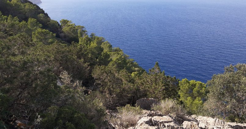 Beboste kliffen en diepblauwe zee langs de noordkust van Ibiza in het natuurgebied Es Amunts, ten westen van Port de Sant Miquel