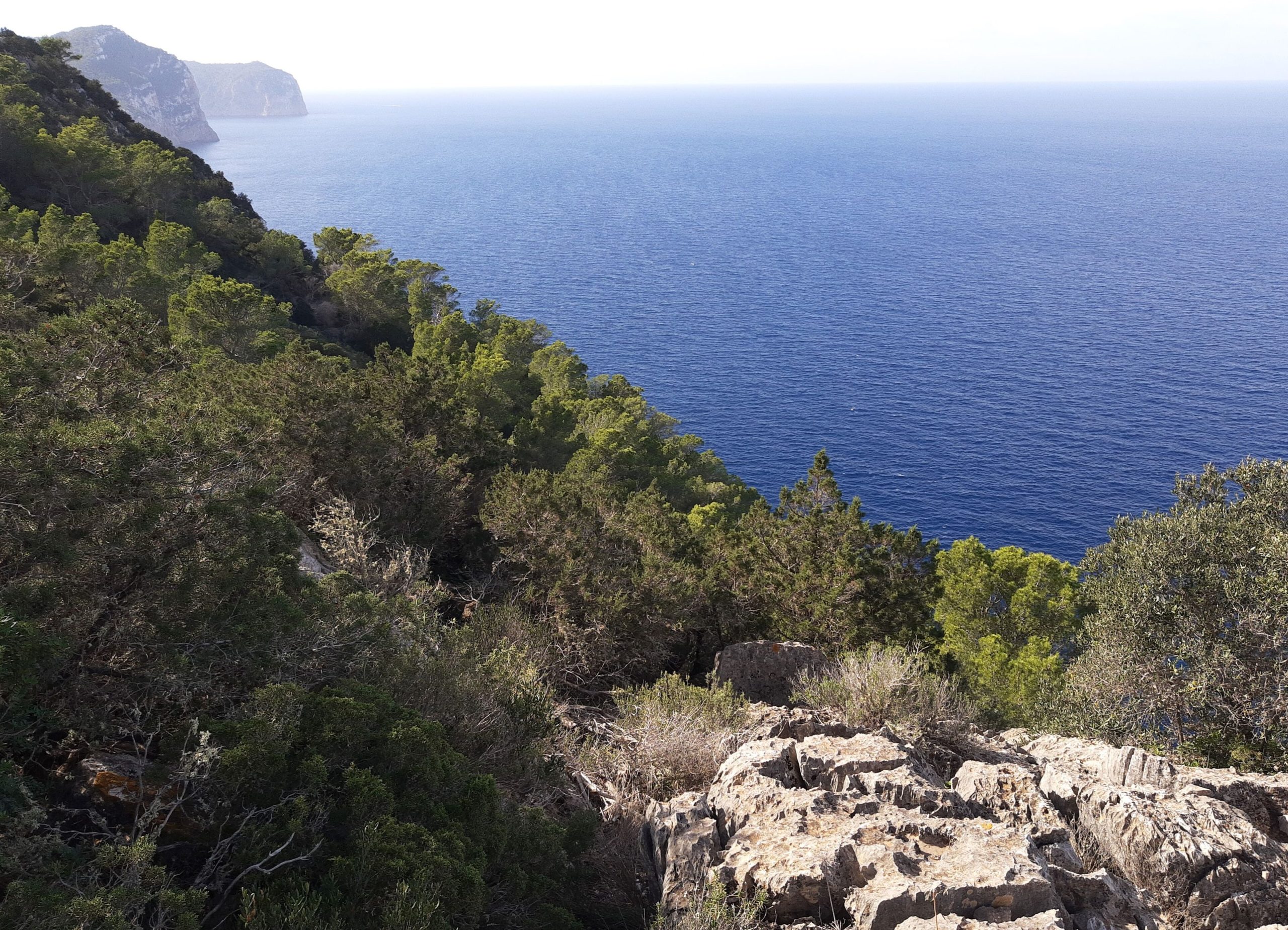 Beboste kliffen en diepblauwe zee langs de noordkust van Ibiza in het natuurgebied Es Amunts, ten westen van Port de Sant Miquel