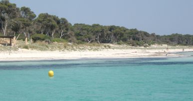 Platja des Carbó Mallorca: onbebouwd wit zand bij Colònia de Sant Jordi 3 Het onbebouwde strand Es Carbó op Mallorca met wit zand, turquoise ondiep water en dennenbos direct achter de duinen