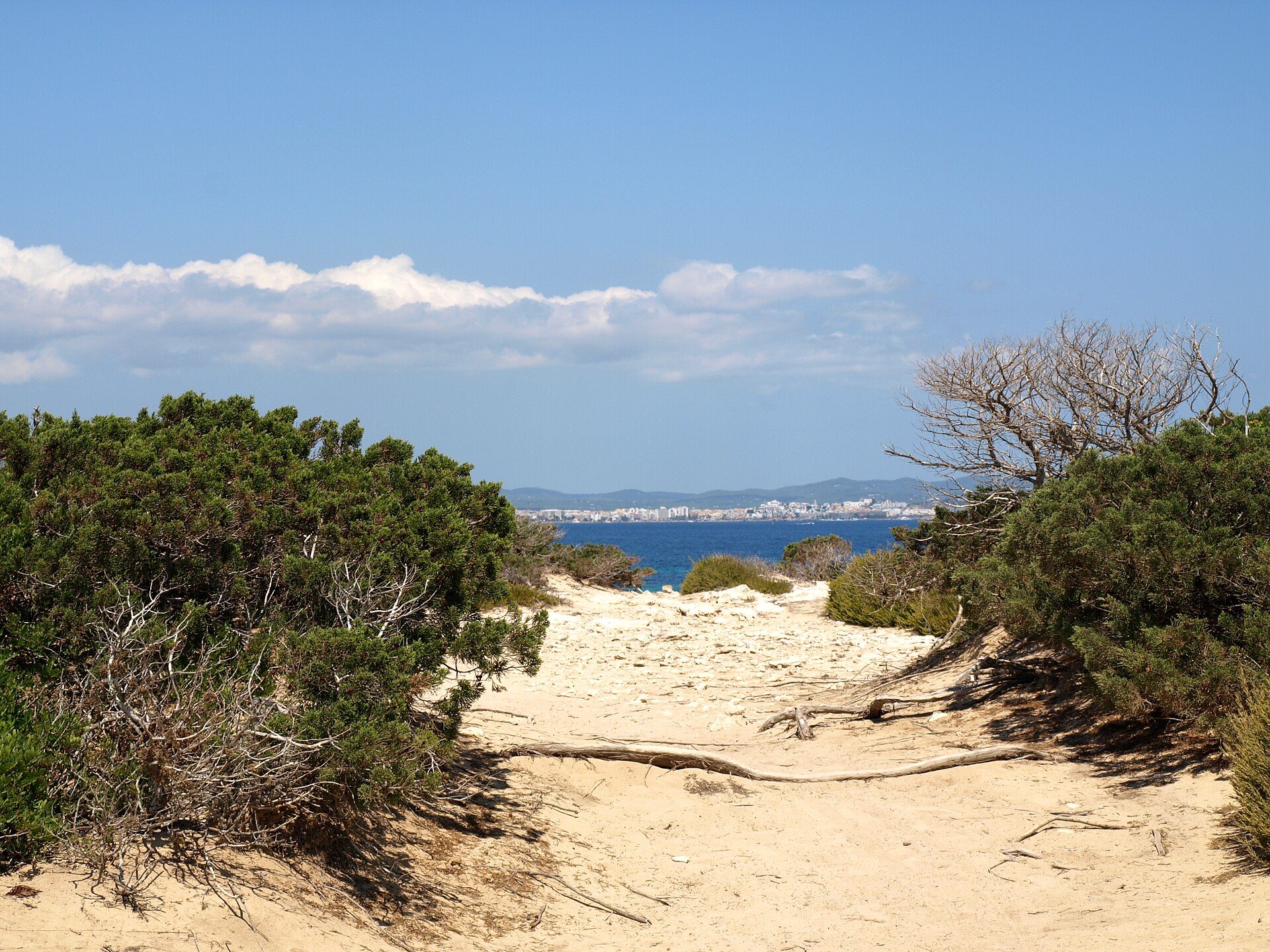 Een zandpad tussen de duinen en struiken naar het strand van Es Cavallet in natuurpark Ses Salines