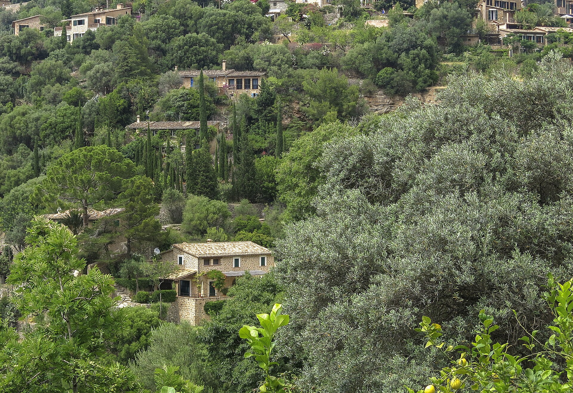 Stenen huizen van Deià tussen cipressen, olijf- en citrusbomen op de groene berghelling, Mallorca