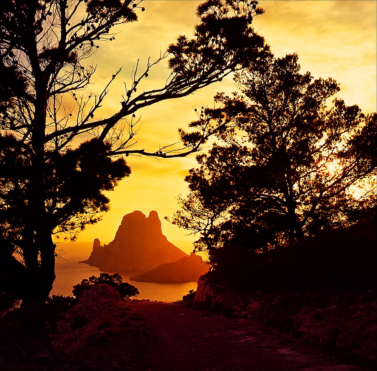 Wandelen op Ibiza: de routes die er zijn, en de plek die dicht is 10 Es Vedrà en Es Vedranell bij zonsondergang, gezien door de pijnbomen