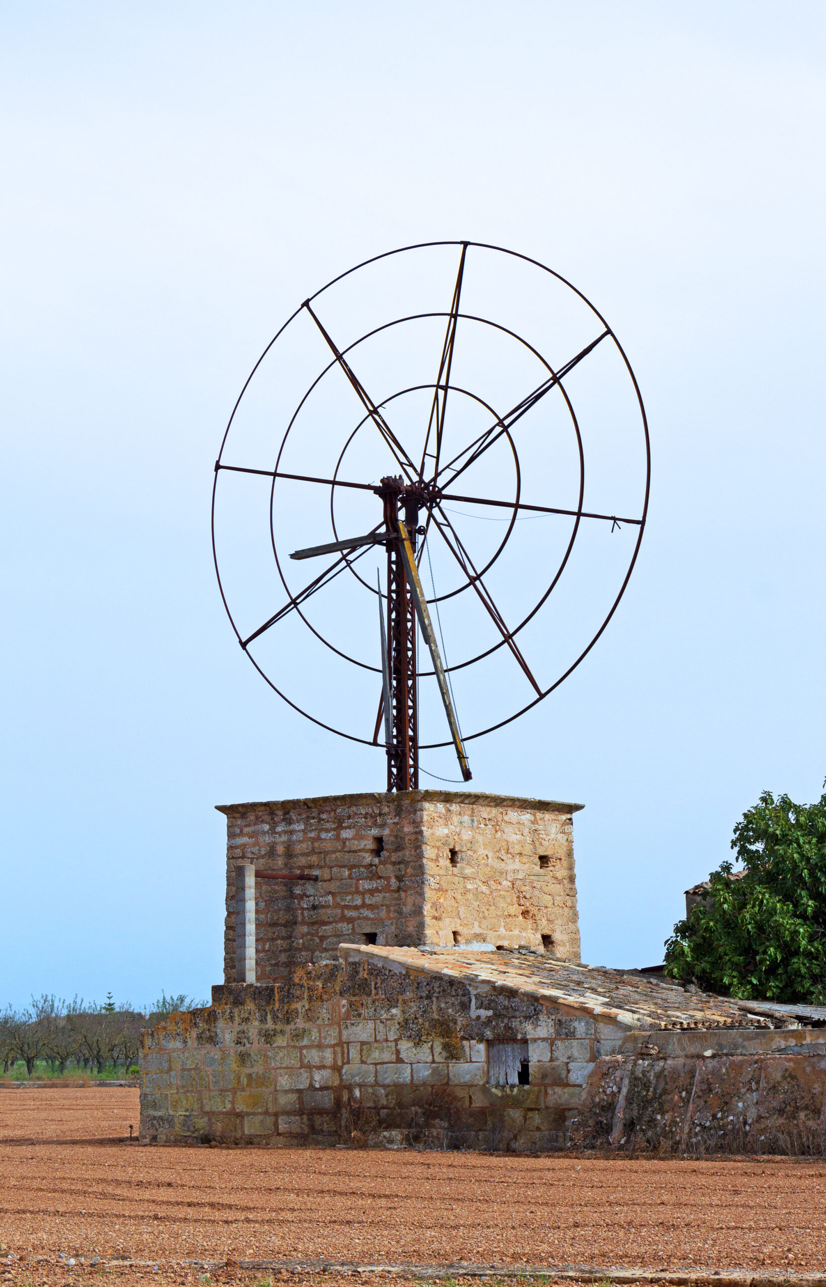 Fietsen op Mallorca: bergen beklimmen en een fiets huren 3 Oude windmolen tussen Sa Pobla en Muro, in het vlakke boerenland van Mallorca