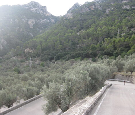 De haarspeldbochten van de Coll de Sóller, een van de klassieke beklimmingen om te fietsen op Mallorca