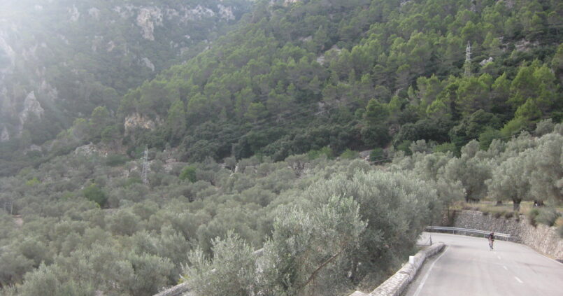De haarspeldbochten van de Coll de Sóller, een van de klassieke beklimmingen om te fietsen op Mallorca