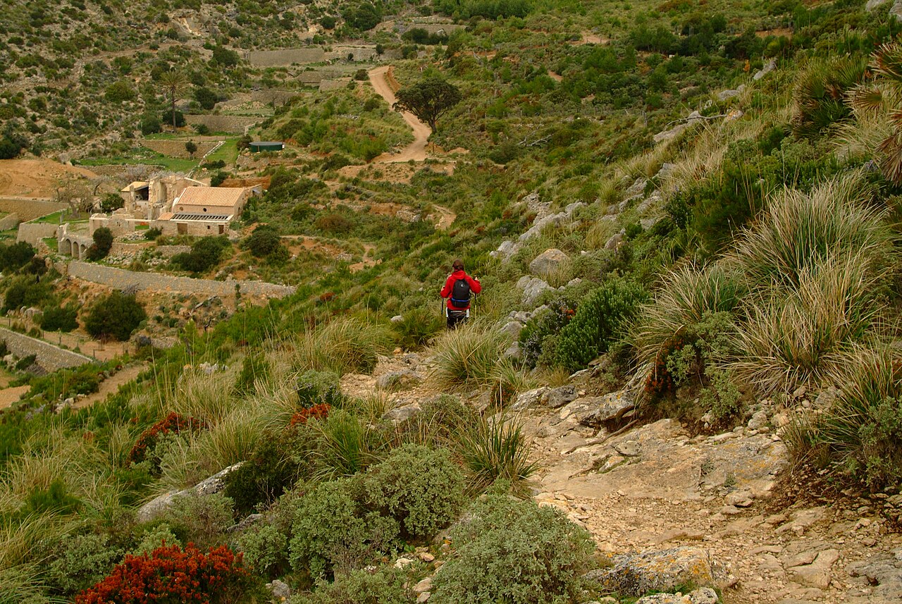 Het pad van de GR221 door het heuvelland bij La Trapa op Mallorca