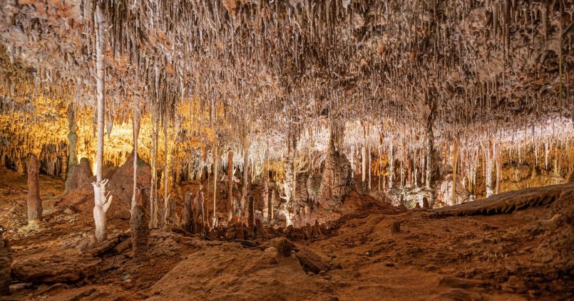 Zaal vol stalactieten en stalagmieten in de Coves dels Hams bij Porto Cristo op Mallorca