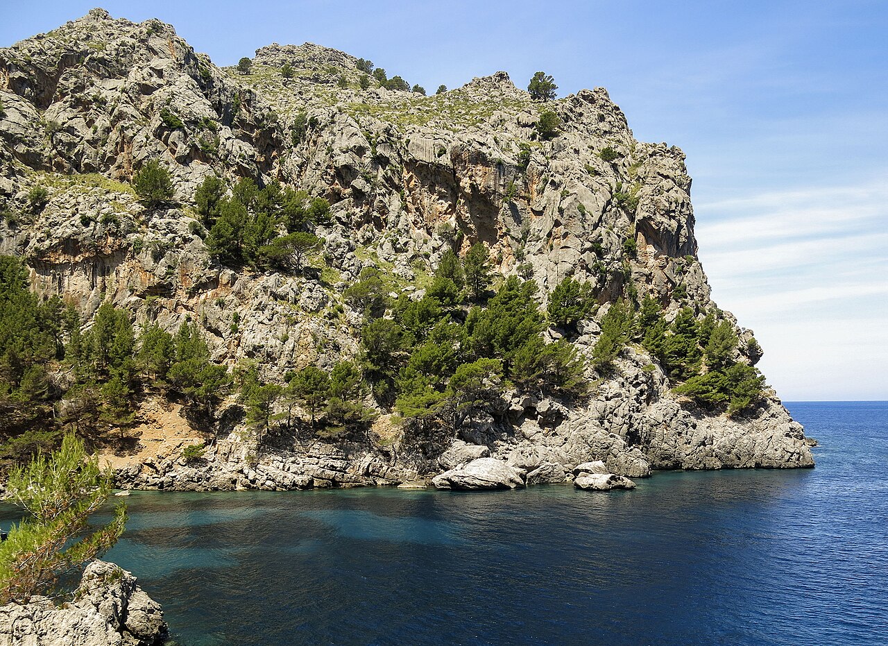 Hoe groot is Mallorca? Oppervlakte, afmetingen en rijtijden 4 De begroeide rotskust bij Sa Calobra in de gemeente Escorca, waar de Serra de Tramuntana van Mallorca in zee valt