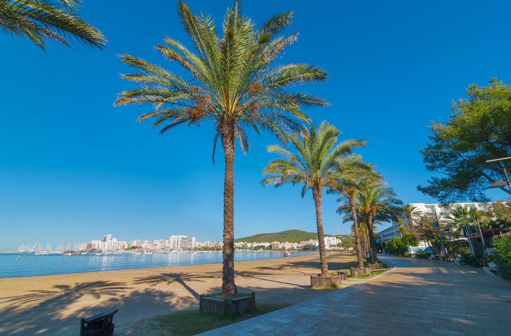 Puchet op Ibiza