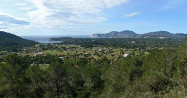 Fietsen op Ibiza: afstanden, routes en de regels 21 Golvend binnenland van Ibiza met pijnbos en de kust in de verte
