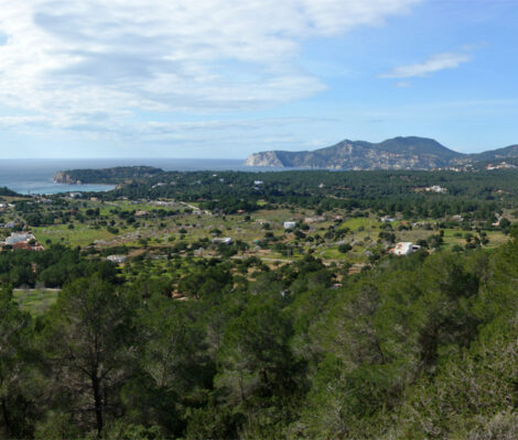 Golvend binnenland van Ibiza met pijnbos en de kust in de verte