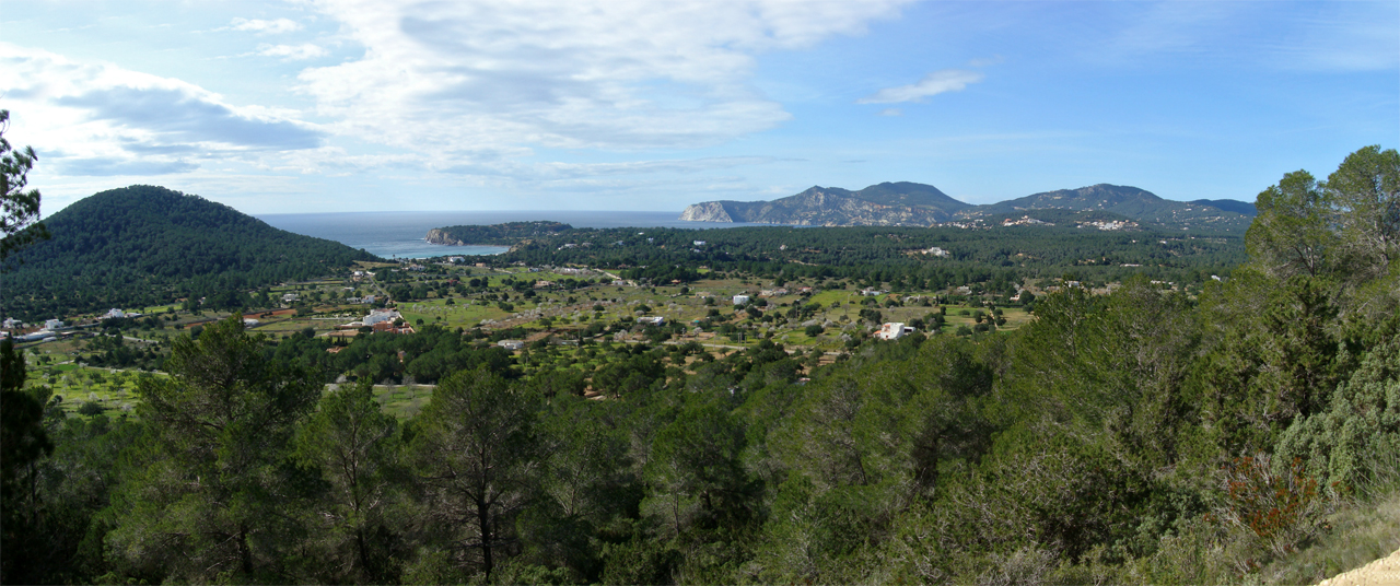 Golvend binnenland van Ibiza met pijnbos en de kust in de verte