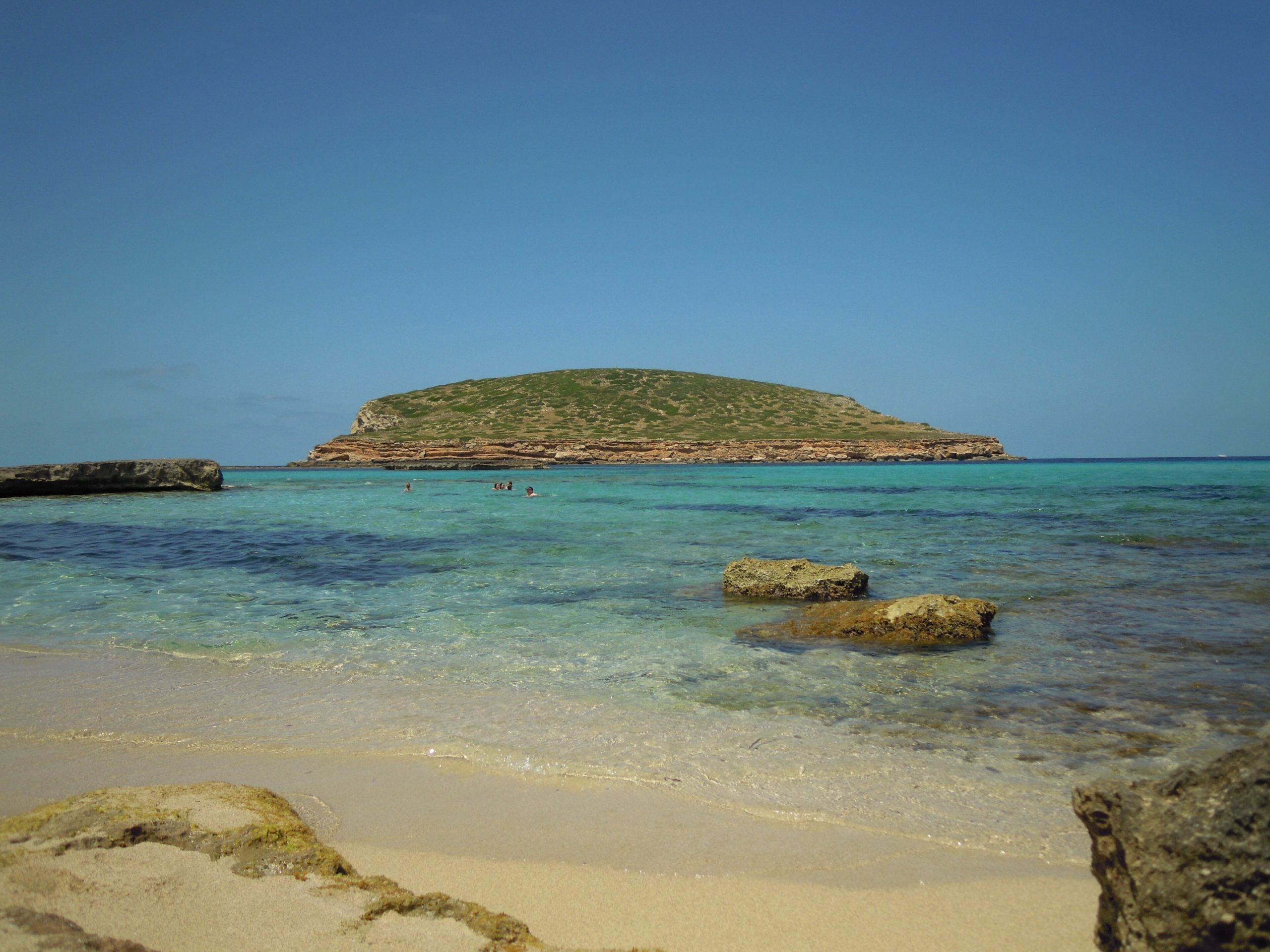 Turquoise water bij een baai op de Balearen, met rotskust en pijnbomen, illustratief voor de keuze tussen Ibiza en Mallorca