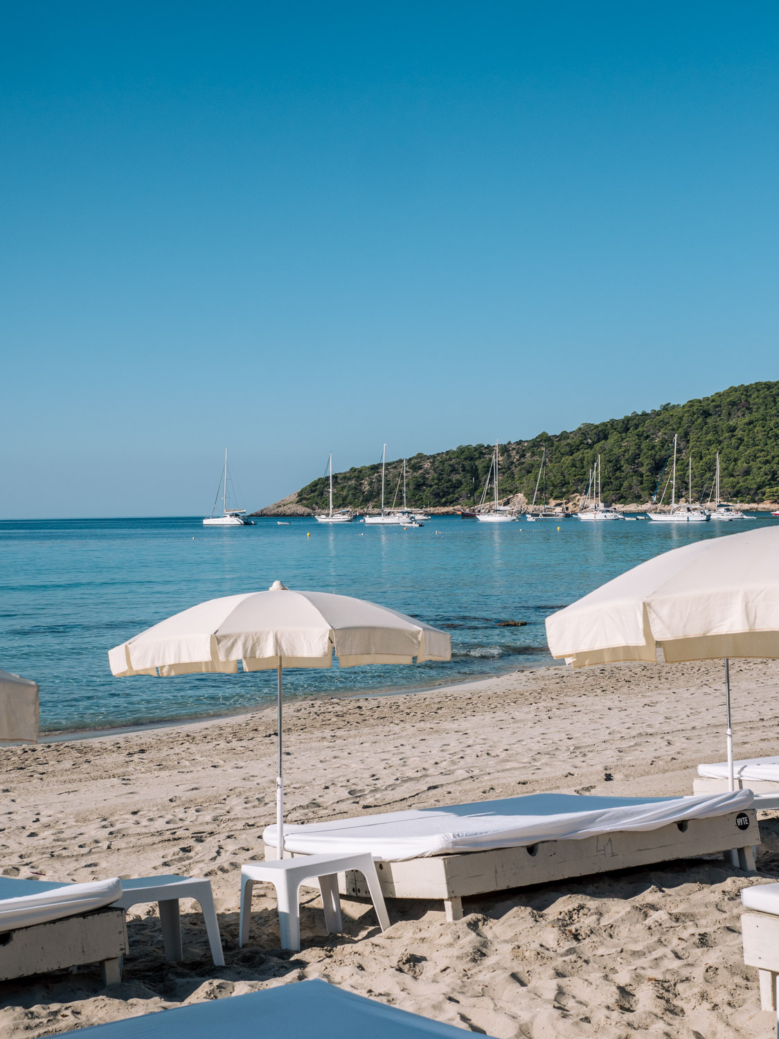 Jockey Club Ibiza, foto 4