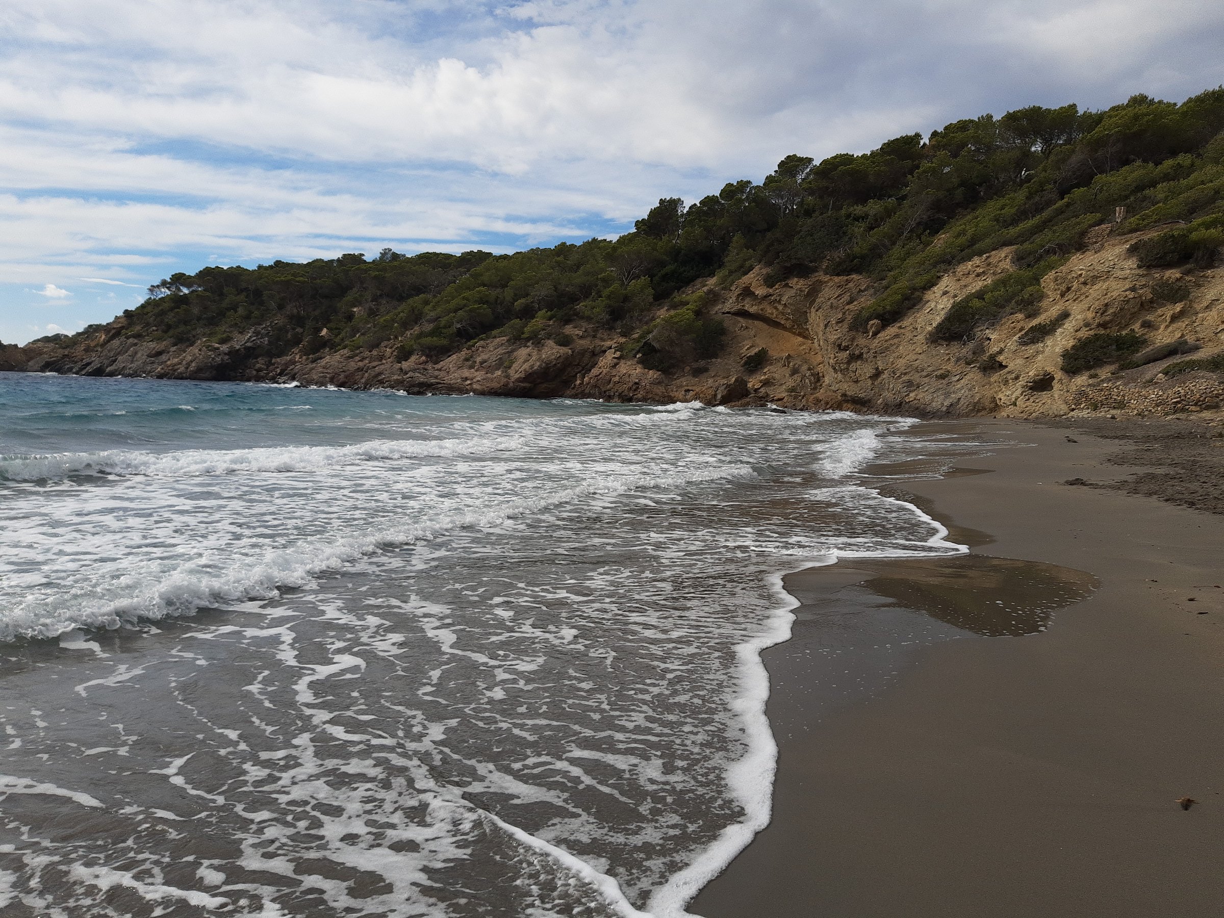 Kwallen op Ibiza: soorten, kwallenvlag, app en eerste hulp bij een beet 4 Golven rollen het strand van Cala Boix op aan de beboste oostkust van Ibiza