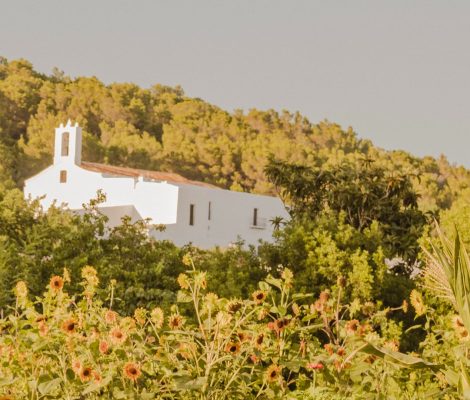 De witte dorpskerk van Sant Llorenç de Balàfia op de heuvel boven een veld met zonnebloemen, vlak bij restaurant La Paloma op Ibiza