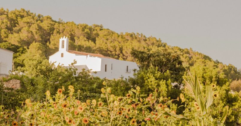 De witte dorpskerk van Sant Llorenç de Balàfia op de heuvel boven een veld met zonnebloemen, vlak bij restaurant La Paloma op Ibiza