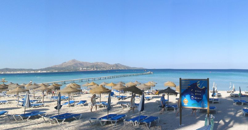 De brede zandstrook van de baai van Alcúdia op Mallorca met rijen strohutparasols en helder ondiep water